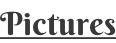 Pictures